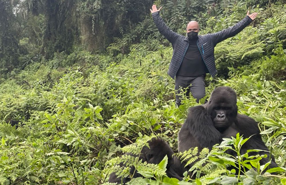 Perfect Rwanda Gorilla Trek